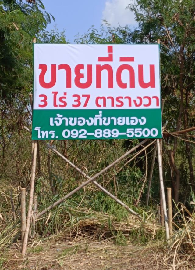 ขายที่ดินเปล่า ไม่มีสิ่งปลูกสร้าง ตั้งอยู่ในโครงการ ณุศามายโอโซน 3
