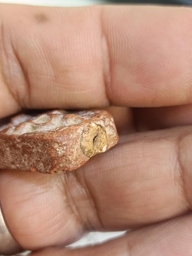 พระหลวงพ่อปาน พิมพ์ขี่นก