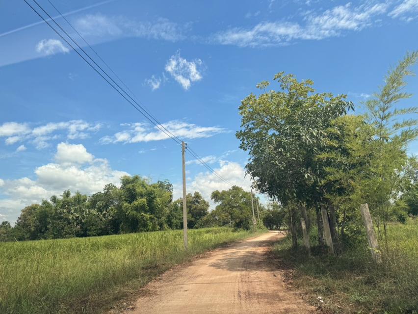 ขาย ที่ดิน ขนาดใหญ่ ทำเลดี  8 ไร่ 131 ตรว เหมาะสำหรับทำอุตสาหกรรม ลงทุนในอนาคต 2