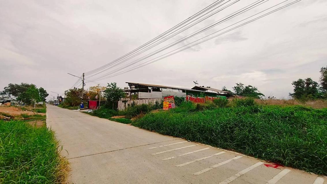 ขายที่ดิน200ตรว.คลองสาม 11/6 4