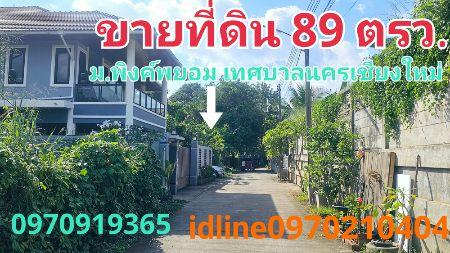 ขาย ที่ดิน หมู่บ้านพิงค์พยอม 89 ตร.วา วิวดอยสุเทพ เทศบาลนครเชียงใหม่ 1