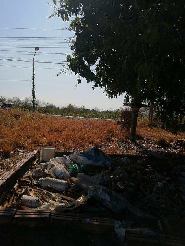 ขายที่ดิน1ไร่60ตรว​ จ.อยุธยา​ ที่สวยหน้ากว้างหลังลึก​ อยุ่ในเขตชุมชน​ ถนนเข้าออกสะดวกกว้างที่หน้ากว้างหลังลึกบรรยากาศดีมาก 11