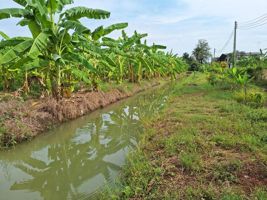 ขายที่ดินสวย อำเภอกำแพงแสน  จังหวัดนครปฐม 5 ไร่ 5 ตารางวา 9