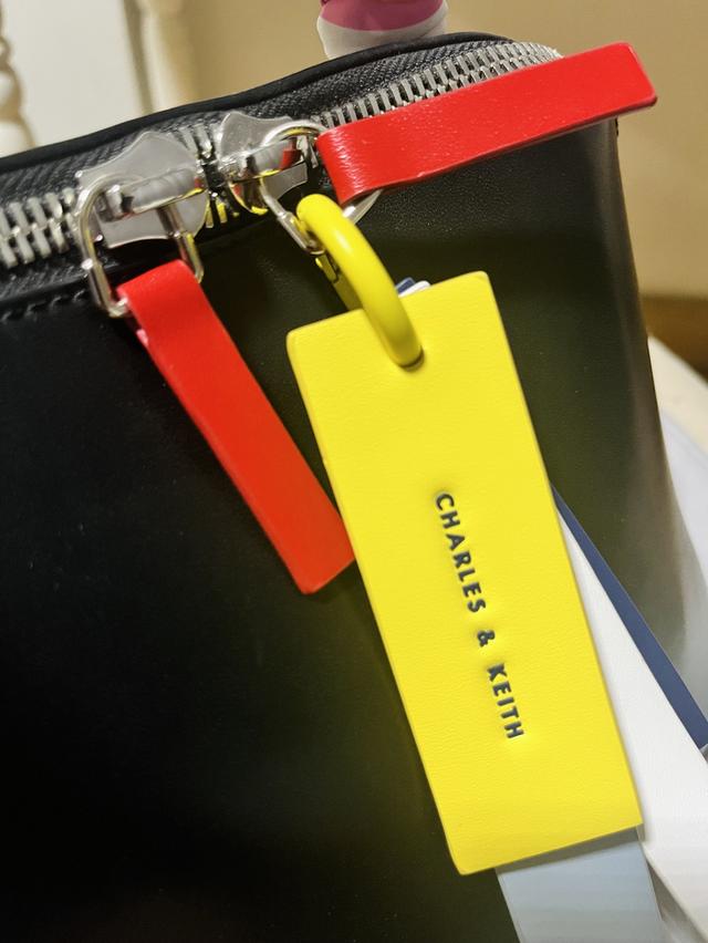 กระเป๋า Charles & Kieth รูปที่ 5