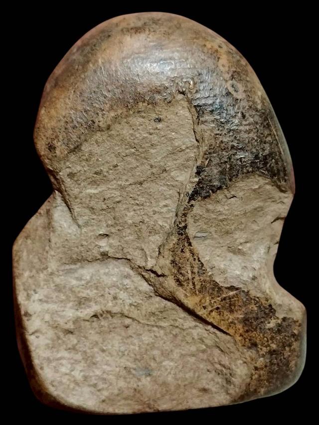 เปิดจ้า💞สนใจทักแชทได้เลยนะคะ 💚ส่งฟรีค่ะ 🥰 รูปที่ 2