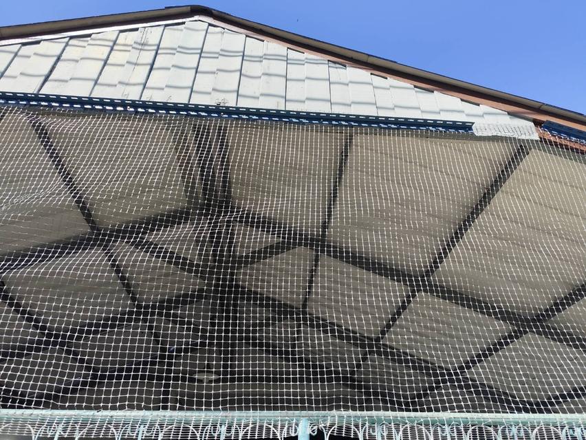 ขายบ้านเดี่ยวเก่า ชั้นเดียว 3 นอน 2 น้ำ ทำเลดี ใกล้สวนหลวง ร9 6