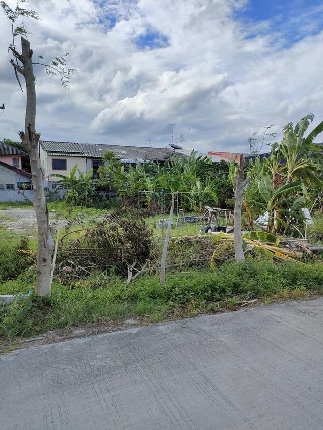 ที่ดินเปล่าถมแล้วให้เช่าในถนนนวลจันทร์ กรุงเทพมหานคร 9