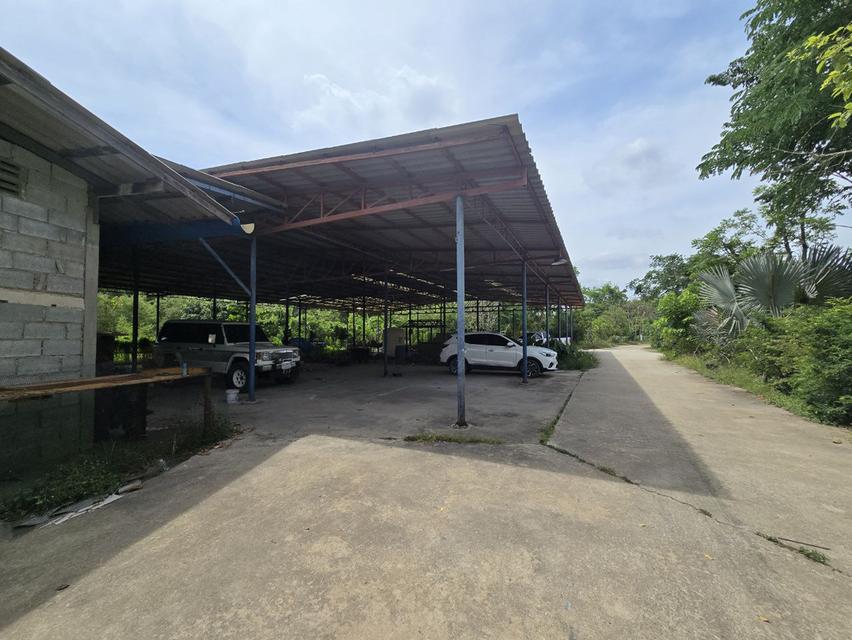  Land House and Warehouse Buildings for Sale —BangSai  12