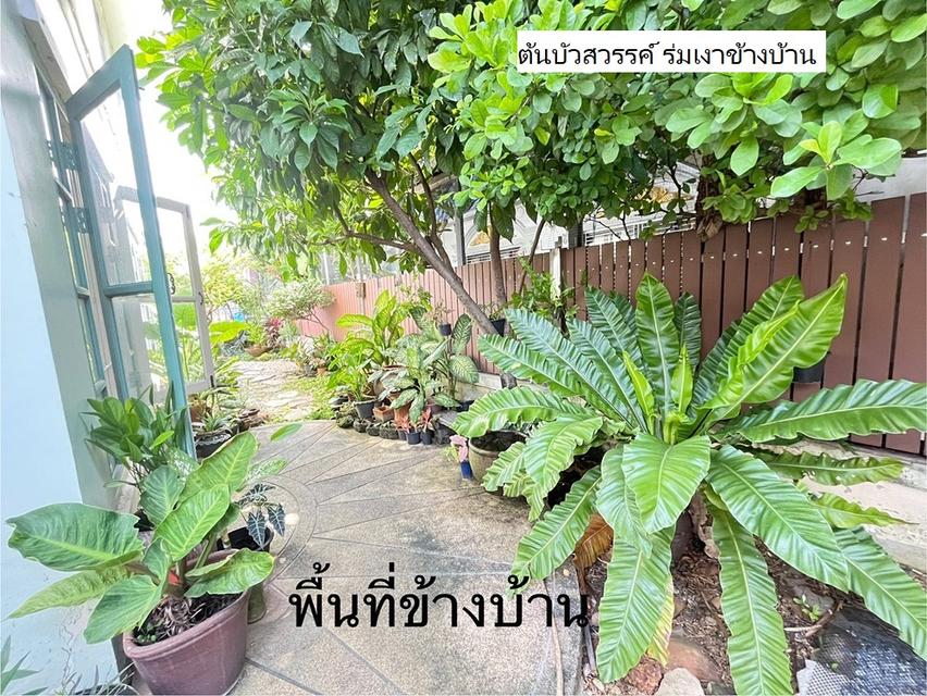 ขายบ้านแฝด พร้อมเฟอร์ หมู่บ้านพฤกษา17 ลำลูกกา คลอง3 17