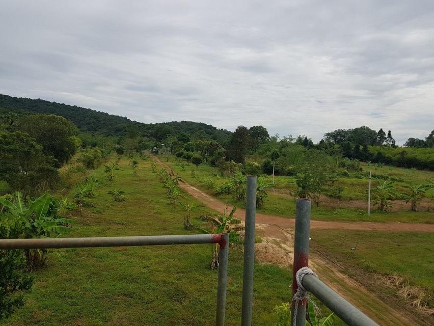 ขายที่ดินปราจีนบุรี 26 ไร่ 2 งาน 92 ตร.ว. ใกล้ทางขึ้นเขาใหญ่ ใกล้น้ำตกวังตะแคง วิวเขาอีโต้ ตำบลเนินหอม 3