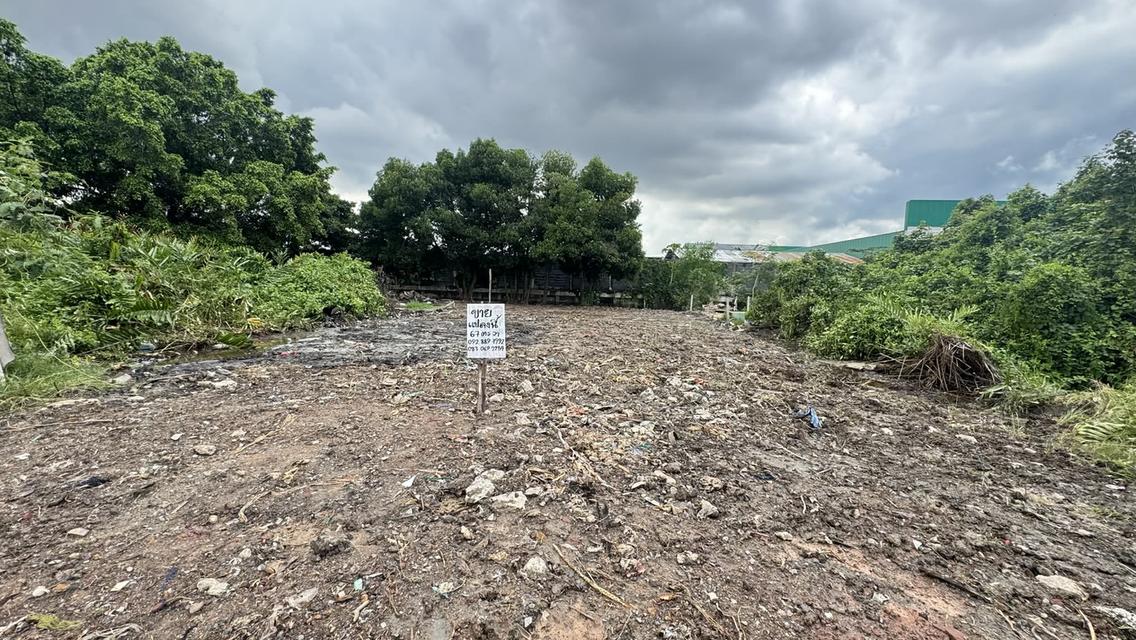 ขายที่ดิน 67.8 ตรว สุขสวัสดิ์ 78 ซอยวัดชังเรือง คู่สร้าง-คู่สม โครงการ3 ซอย 4/3 ราคาถูก ใกล้ตลาดคู่สร้าง 7