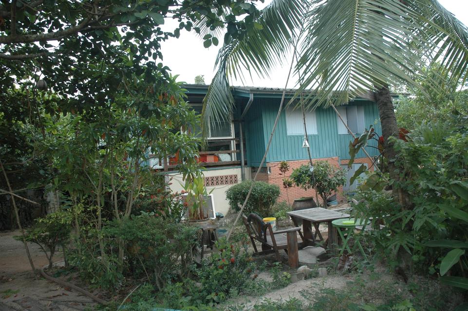 ขายที่ดินพร้อมสิ่งปลูกสร้าง 5