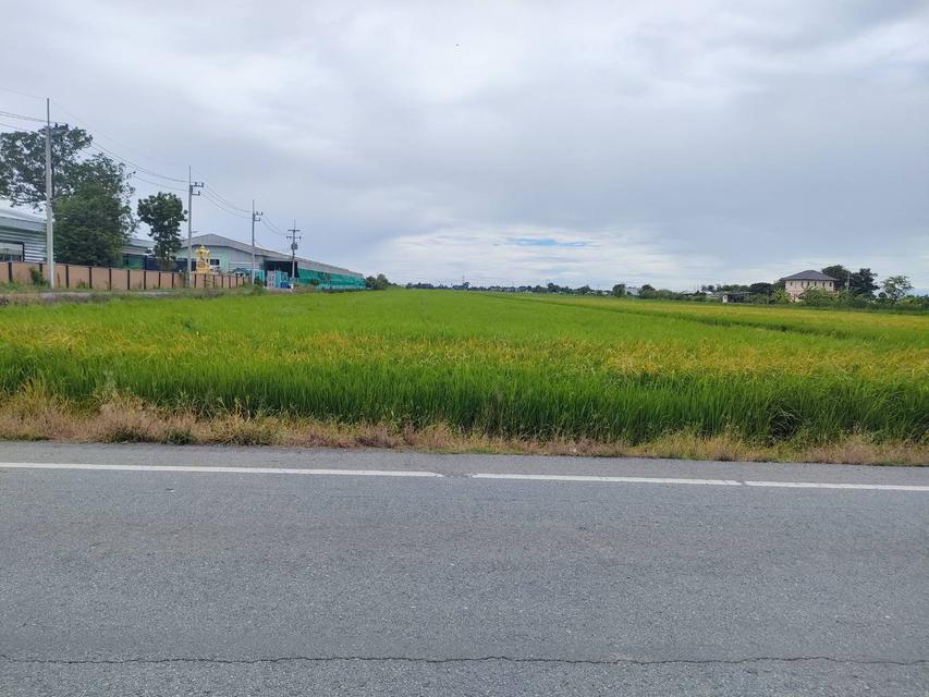 รูป ขายที่ดินเปล่าติดถนนคลอง 9 ลำลูกกา จังหวัดปทุมธานี 5