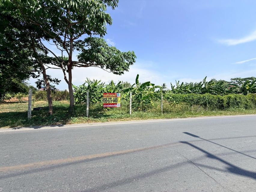 ขายด่วนที่ดินใกล้วัดอ้อมใหญ่ 367 ตรว ติดถนนสาธารณะ ซ.วัดเทียนดัด(อ้อมใหญ่ ) สามพราน นครปฐม 1