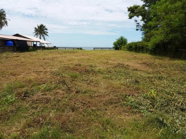 เข้าพรรษาหาทรัพย์ดีประดับบารมี ขายที่ดินริมหาดสะพลีทรายขาวน้ำใสคราม สวยงามวิวทะเลธรรมชาติสุดสุด ปะทิวใกล้หาดสวยทุ่งวัวแล 4