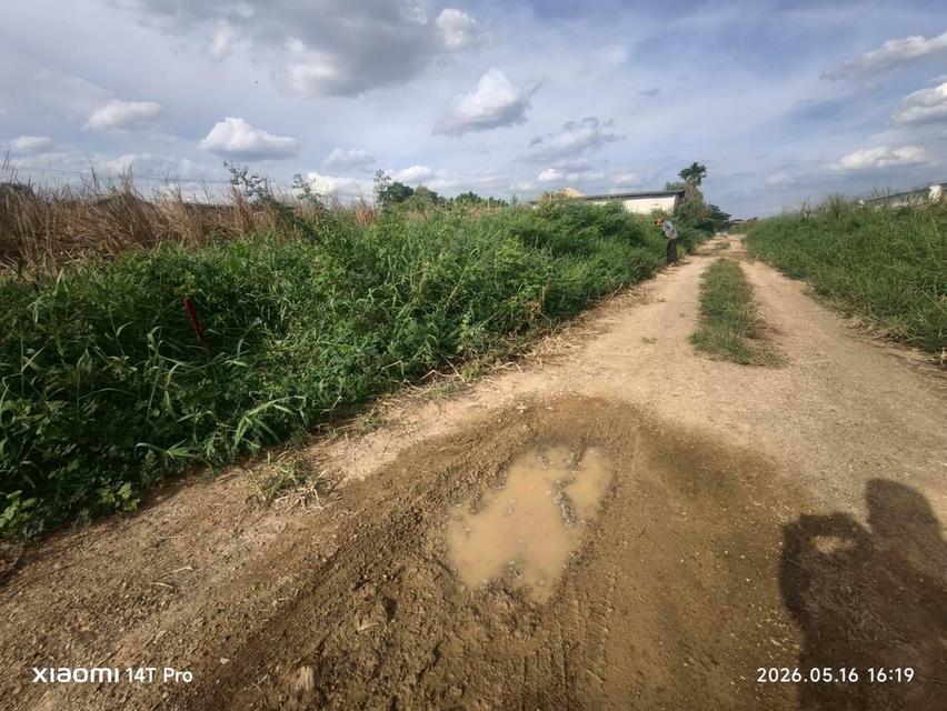 ขายด่วนที่ดินลำลูกกา 200 ตรว ติดถนนสาธารณะ ซ.ไสวประชาราษฎร์ 27 อ.ลำลูกกา จ.ปทุมธานี 5
