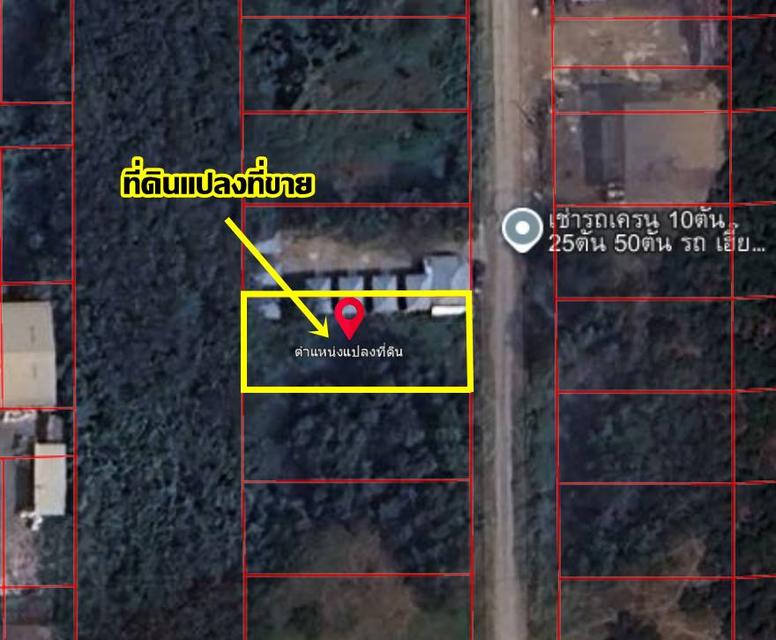 ขายที่ดินเปล่า ซอยคลองสี่10 ติดถนนคลองหลวง ใกล้องค์การบริหารส่วนตำบลคลองสี่ 6