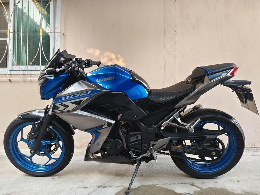 Z300 ปี 2018