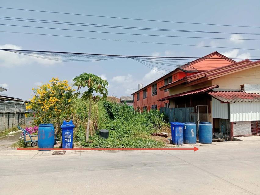 ขายที่ดิน 100 ตรวเศษ 4