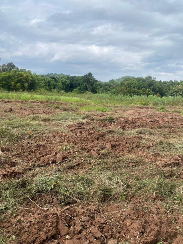 ที่ดินติดแม่น้ำนครนายก 10