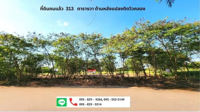 ขายที่ดินถมแล้ว 313 ตรว.ใกล้ทางเข้า-ออกถนนบางนา-ตราด 26โครงการรอยัล เพลส ด้านหลังติดวิวน้ำ ต้นไม้ล้อมรอบ บรรยากาศดี สมุท 1