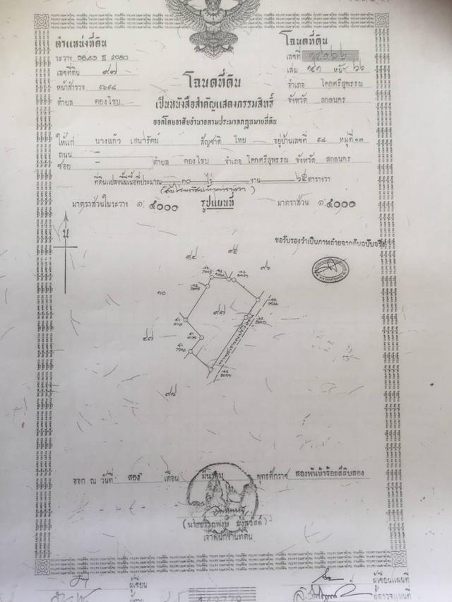 ขายที่ดินพร้อมสวนปาล์ม 7