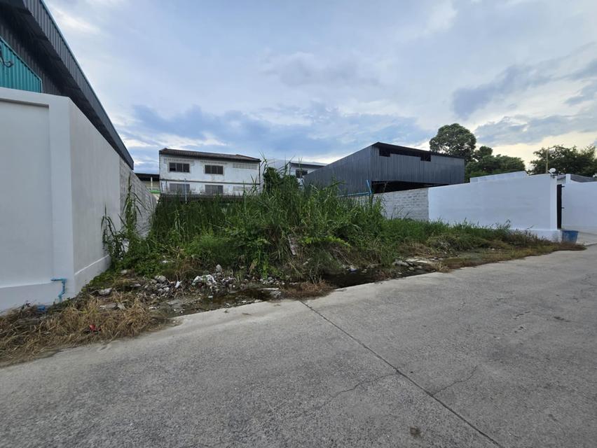 ที่ดินบางบอน5 หนองแขม 5