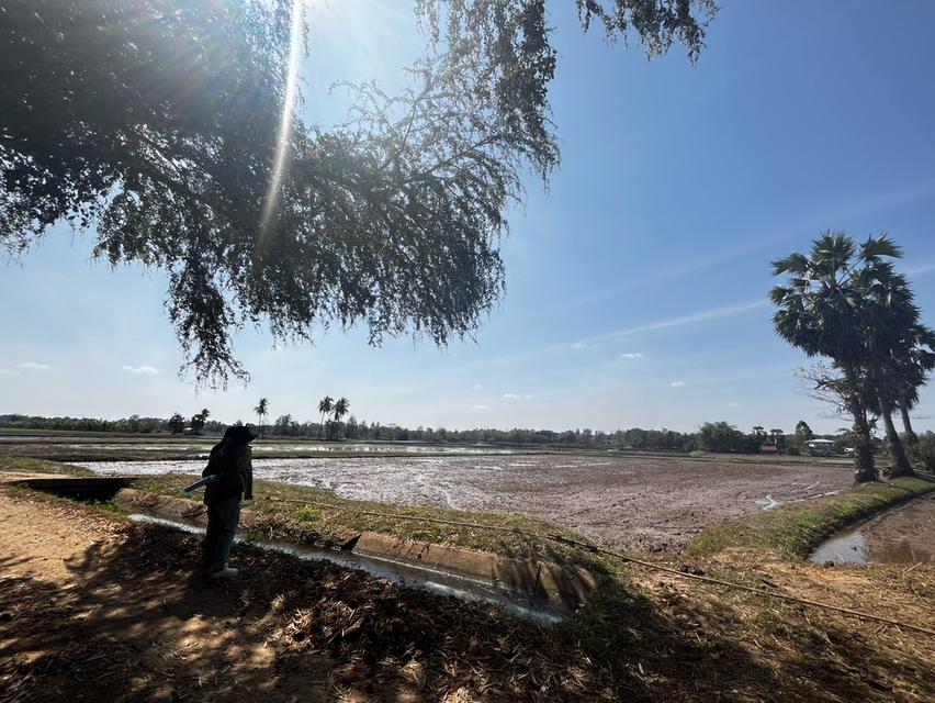 ขายที่นา 9 ไร่ ไม่ไกลจากตัวเมืองขอนแก่น 4