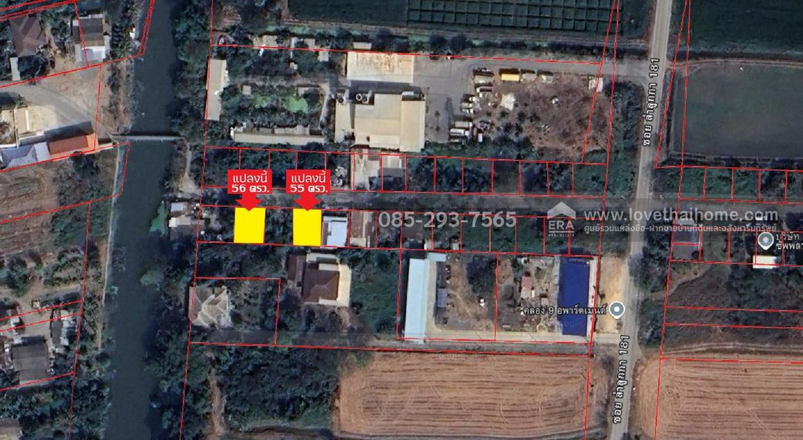 ขายถูกที่ดิน ลำลูกกา คลอง9 ซอยลำลูกกา181 (ซอยร่วมใจ1) พื้นที่ 56 ตารางวา แปลงสี่เหลี่ยมผืนผ้าสวย 3
