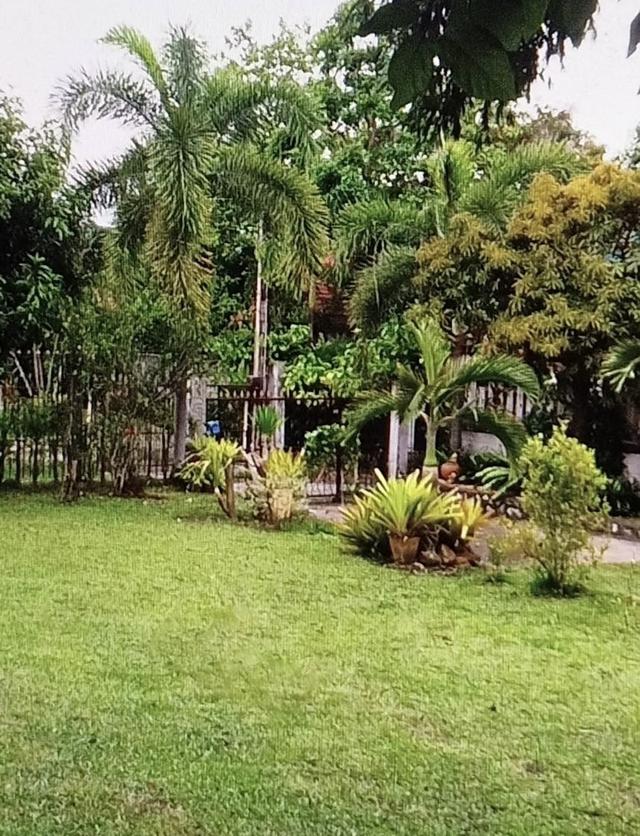 บ้านเดี่ยวให้เช่าใกล้ทะเล บรรยากาศดี ศรีราชา ชลบุรี 2