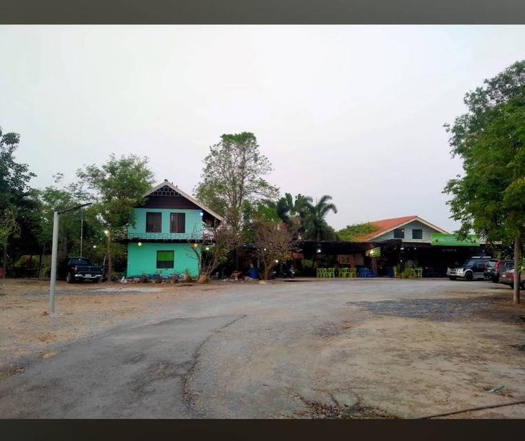 ขาย/ให้เช่า ที่ดินอ่างทอง เจ้าของขายเอง 5