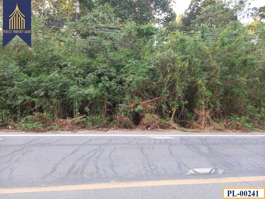 ขายที่ดิน หนองเสือ ทำเลดี จังหวัดปทุมธานี 4