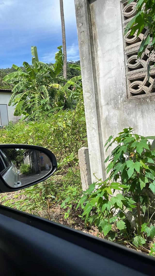 ขายที่ดินขนาด100ตารางวาบนเกาะสมุย 9