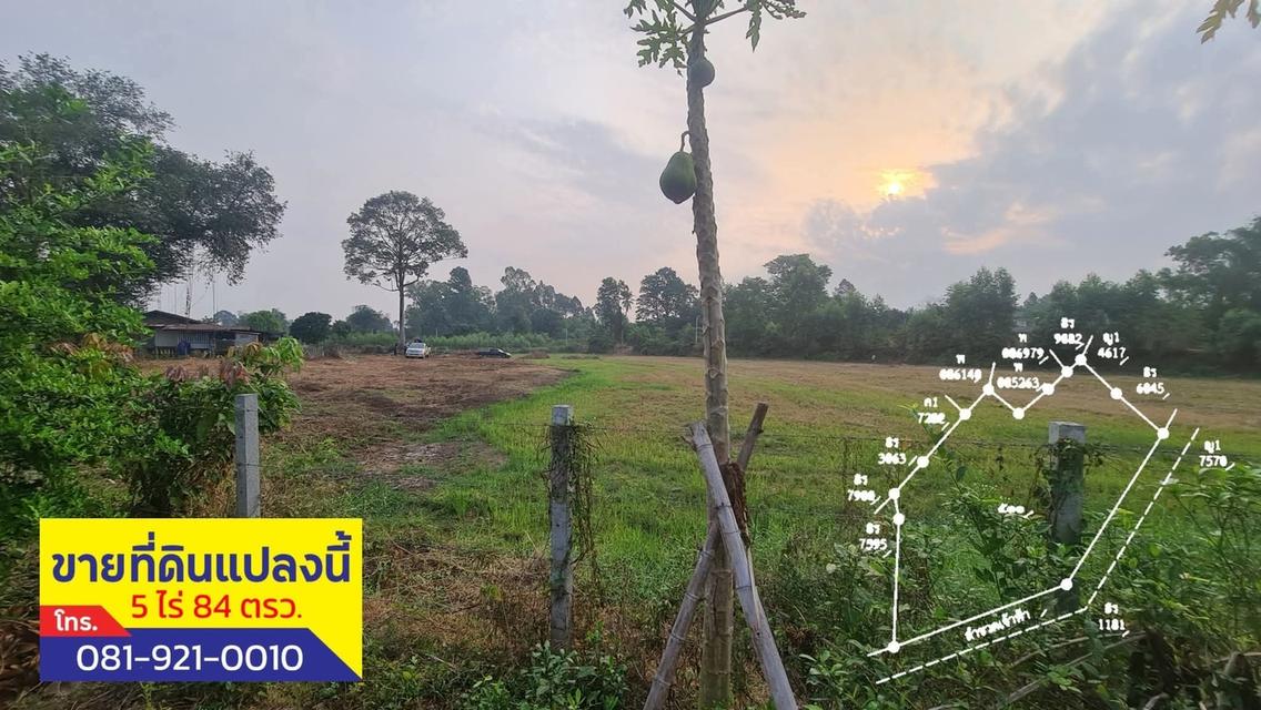 ที่ดินแยกโคกปีป ปราจีนบุรี 5