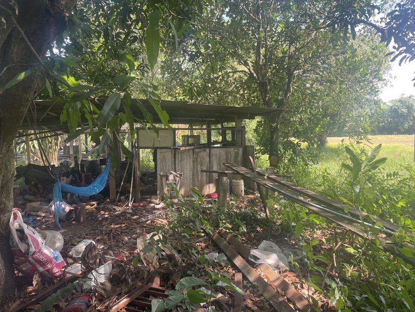 ที่ดินทำเลดี หนองจิก สระบุรี 9