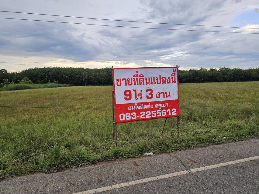 ด่วน!!!ขายที่ดิน9ไร่3งาน 7