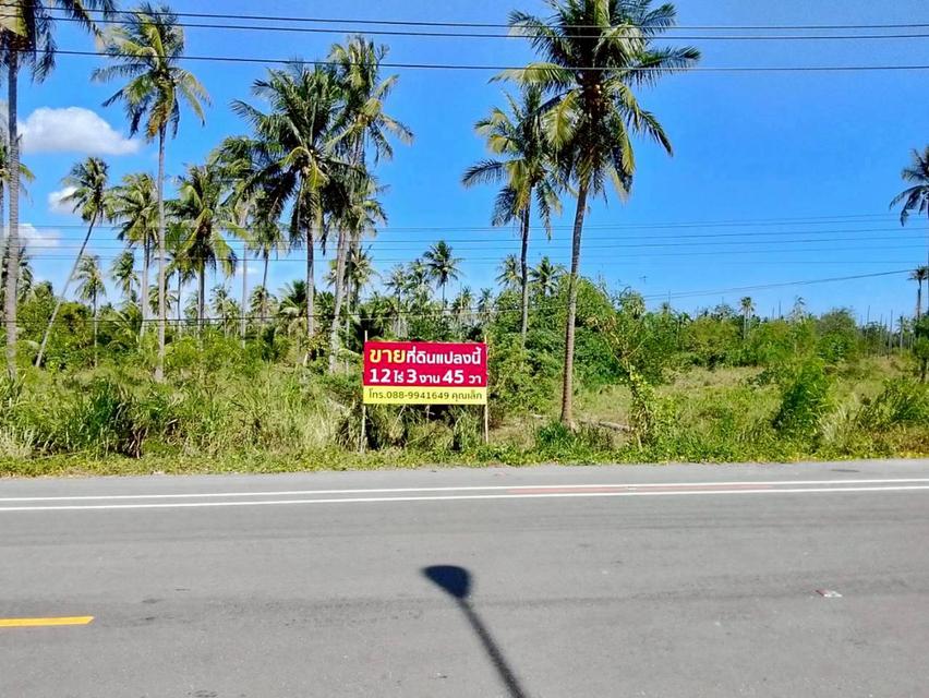 ขายด่วน! ที่ดินทำเลทอง ติดถนนใหญ่ ทับสะแก-หาดวนกร 12 ไร่เศษ เหมาะพัฒนาโครงการ น่าลงทุน 1
