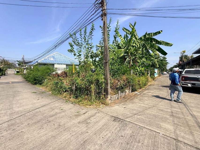 Vายด่วนที่ดิน 44 ตารางวาติดถนนคอนกรีตสาธารณะ แปลงมุม ชอย พระยาสุเรนทร์ 25 แขวงบางชั้นกรุงเทพมหานคร 2