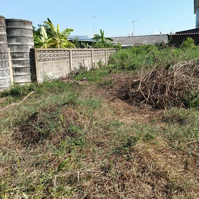 ที่ดินท่าไข่ฉะเชิงเทรา 10