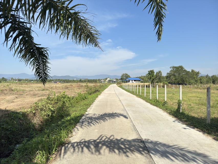 ให้เช่าที่ดินเปล่า ทำโกดังเก็บสินค้า 7