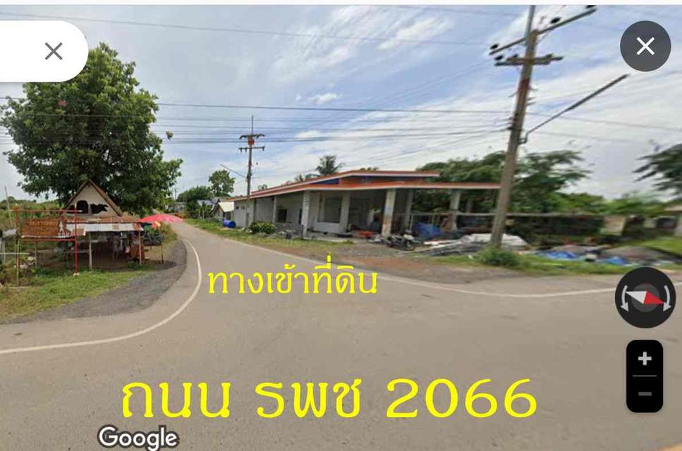 ขายที่ดิน 36ไร่เศษ อ.ชนแดน เพชรบูรณ์ พร้อมสวนสัก ไร่ละ 5 หมื่น 3