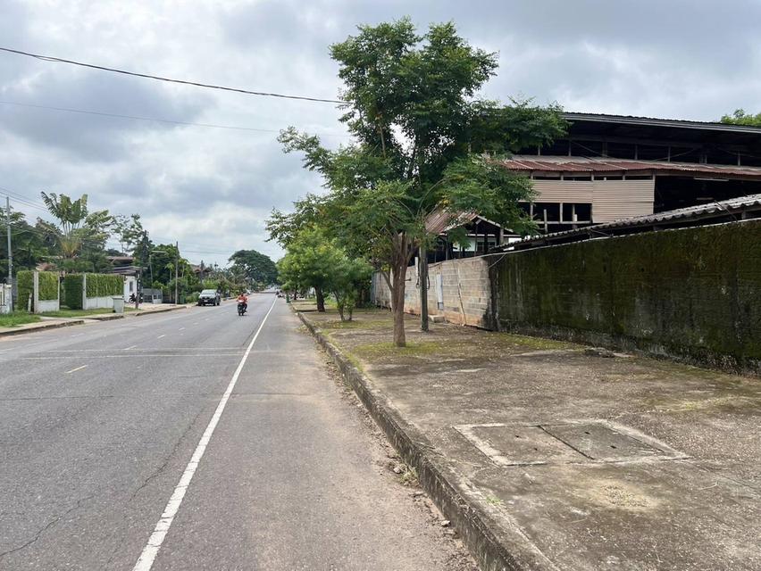 ขายที่โกดังติดถนนหลังเส้นโรงพยาบาลสมเด็จพยุพระราชเลิงนกทา หน้ากว้างติดถนน 32ม.ลึก43 ม.เนื้อที่ทั้งหมด3.617 งาน ห่างโรงพยาบาล 300 เมตร  เขต ทต.เลิงนกทา 4