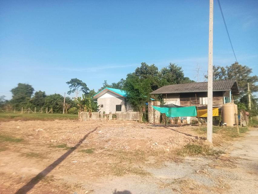 ขายที่ดินสวยๆ ใกล้เมืองจันทบุรี 2