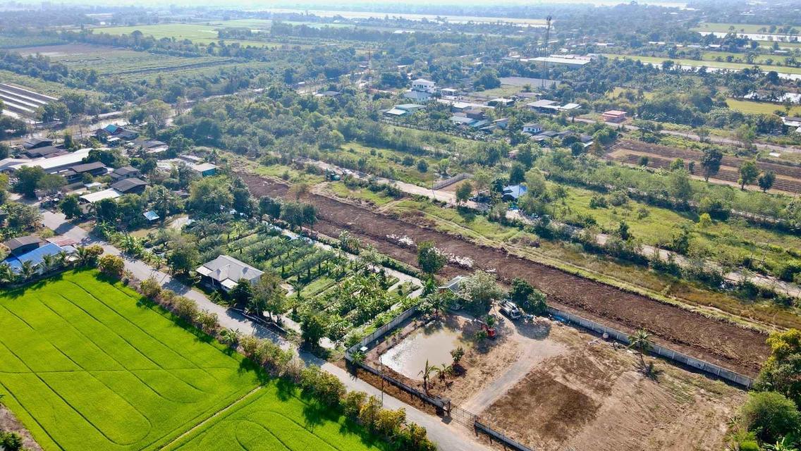 ขายที่ดินบึงกาสาม 200 ตรว. คลอง11 ใกล้ถนนเส้น3022-1.5กม. อ.หนองเสือ จ.ปทุมธานี 3