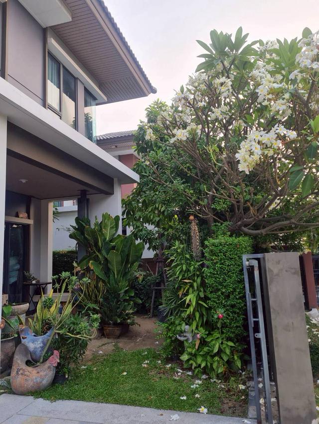 บ้านบุราสิริ 345 (ราชพฤกษ์) 4