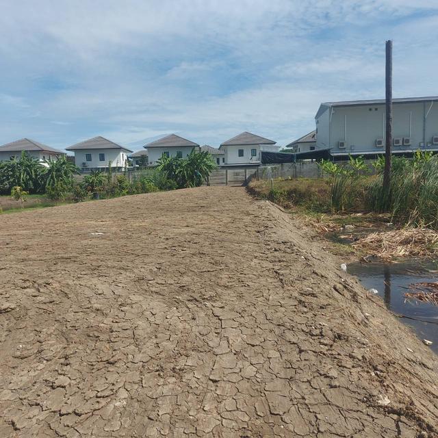 ที่ดินเปล่า​2ไร่215ตารางวา 10
