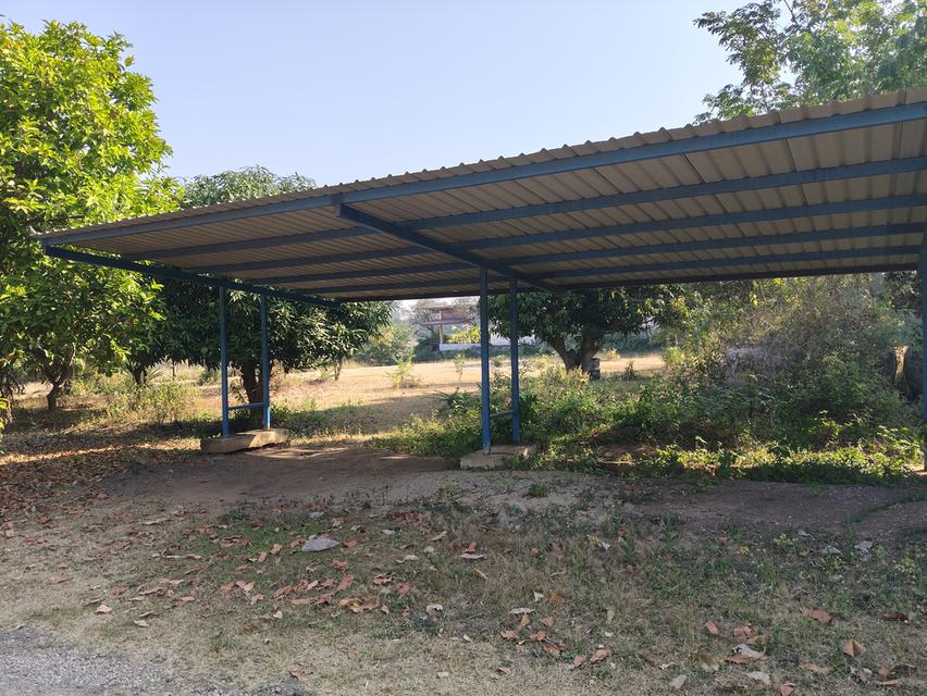 ที่ดินวิวทะเลสาบอ่างเก็บน้ำลำสำลาย 5