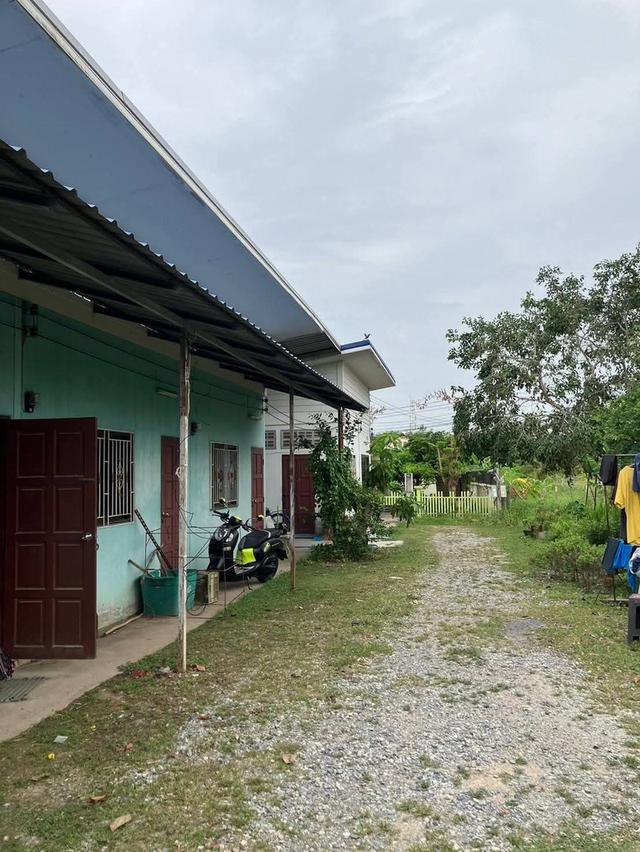 บ้านพร้อม1หลังพร้อมห้องเช่า6ห้องอำเภอเมืองนครราชสีมา  ใกล้ถนน​สุ​ระ​2​เพียง​30​เมตร​ ขนาดที่ดิน 202ตรว 2