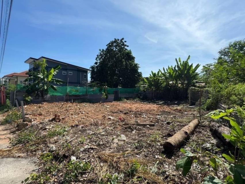 ขายที่ดินพัทยา ใกล้ทะเล ราคาถูกมาก พื้นสวยสี่เหลี่ยม 2