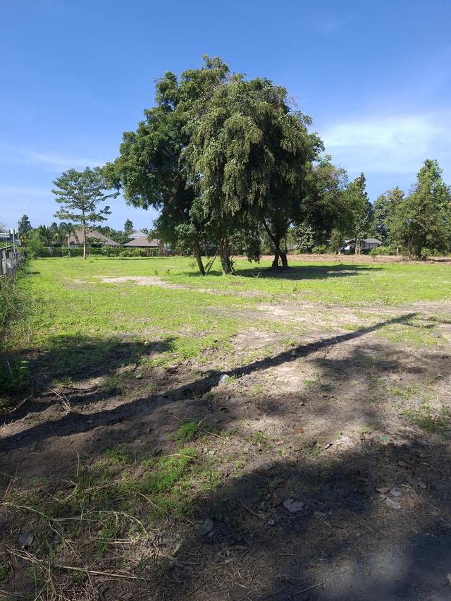 ที่ดินเปล่าขนาด 1ไร่ 3งาน62ตรว. 1